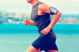 O que são Saponinas? O que são Saponinas?