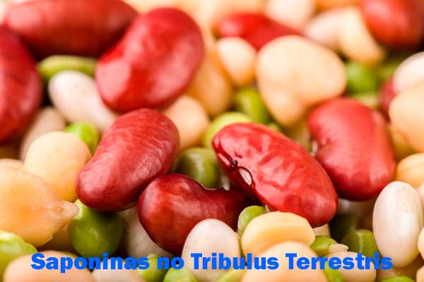 Saponinas Tribulus Terrestris Saponinas Tribulus Terrestris
